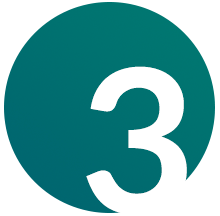 3