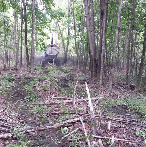 Close-up of mechanical spreader used to spread wood ash on Eastern Townships sugar maple plots. Photo: Simon Bilodeau Gauthier