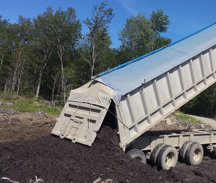 Delivery of wood ash to be spread on Eastern Townships hybrid poplar plots. Photo: Simon Bilodeau Gauthier