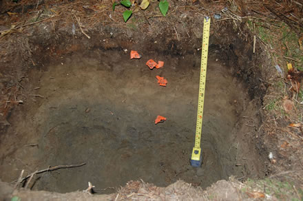 Soil pit with orange flags marking the various soil horizons at the Johnson Creek wood ash trial site. Photo: Richard Kabzems