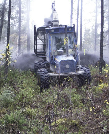 Wood ash being spread by a mechanical spreader on a treed Senneterre 1 wood ash trial plot.  Photo: Toma Guillemette