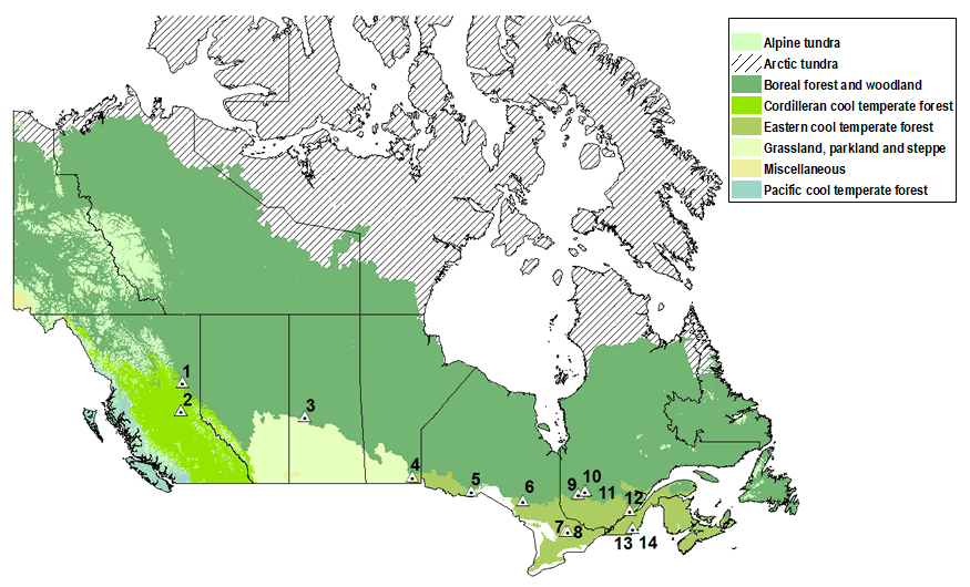 Location of AshNet study sites across Canada by major Canadian National Vegetation Classification (CNVC) zones. CNVC. 2017. Vegetation Zones of Canada. NRCan, CFS, Sault Ste. Marie, ON. http://cnvc-cnvc.ca/. The legend includes regions representing Alpine tundra; Arctic tundra; Boreal forest and woodland; Cordilleran cool temperate forest; Eastern cool temperate forest; Grassland, parkland and steppe; miscellaneous; and Pacific cool temperate forest. 