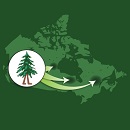 Image showing a map of Canada superimposed by an inset with an icon of a walking tree. From this icon, three arrows depart in different directions pointing to various regions in Canada.