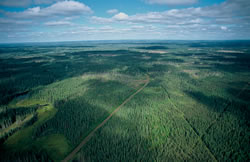 Aerial photograph of Canada’s boreal forest