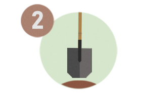 Tree planting shovel illustration