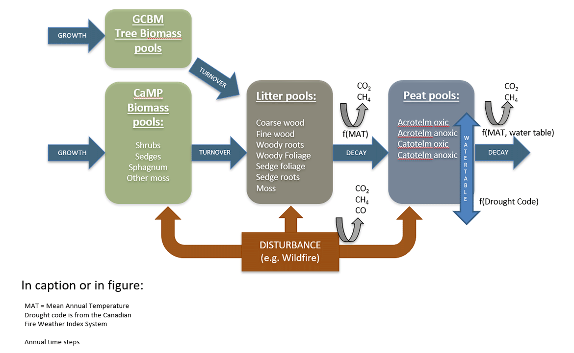 CaMP components, described below