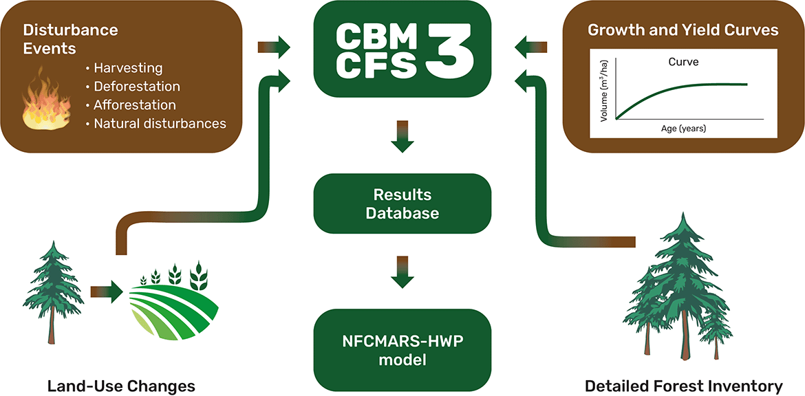 Diagram of the National Forest Carbon Monitoring, Accounting and Reporting System.