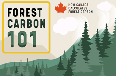Forest Carbon 101. How Canada Calculates Forest Carbon