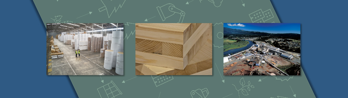 Interior and exterior photos of pulp and paper mills and cross-laminated timber.