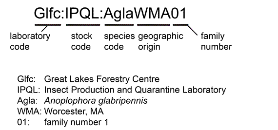 The standardized naming convention for insects from the Insect Production and Quarantine Laboratories, described below.