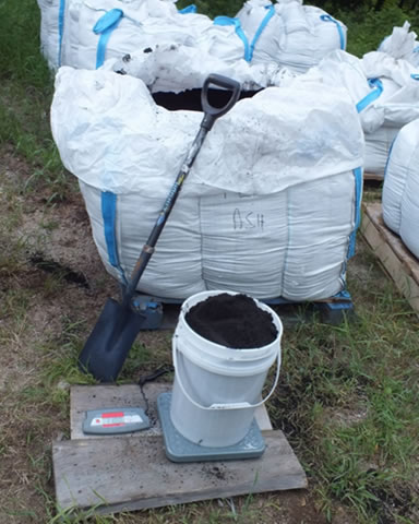 Wood ash being weighed on a scale in a bucket to measure application rate.  Photo: Emma Horrigan