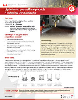 Lignin-base polyurethane products