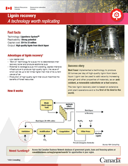 Lignin recovery