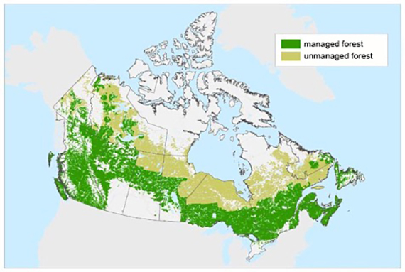 Large-scale map showing the extent of Canada’s managed forests.