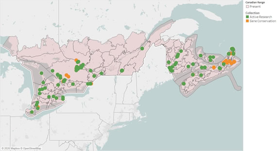 Figure 2 – Map showing Canadian ecodistricts where white ash is present in Ontario, Quebec and the Maritimes as well as the location of NTSC seed collections that are available for research (2020).