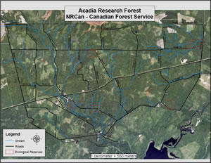 Map of the Acadia Research Forest showing forest area with blue lines for streams, black lines for roads, and red outlines for the ecological reserves.