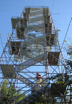 The ecological monitoring tower with a person walking up the stairs.