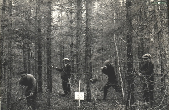 Four students working in the Acadia Research Forest circa 1930.