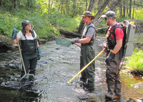 Three students wearing hip-waiters stand in a creek with one leading a demonstration of electrofishing.