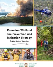 CCFM Wildland fire prevention and mitigation strategy report cover