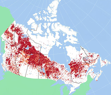 Map of Canada showing the area of forest burned on a national scale from 1973 to 2023. Legend includes two sources: NRCan and NFDB Agency Polygons.