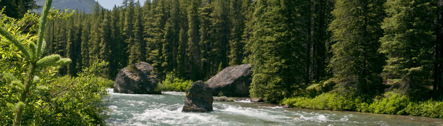 Rosemary Rock, Jasper National Park.