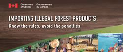 Importing illegal forest products (factsheet)