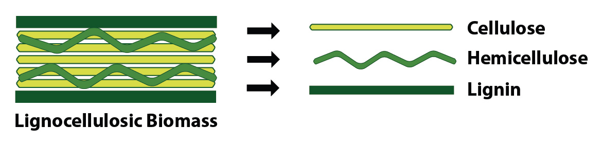 shows three types of chemicals from forest biomass