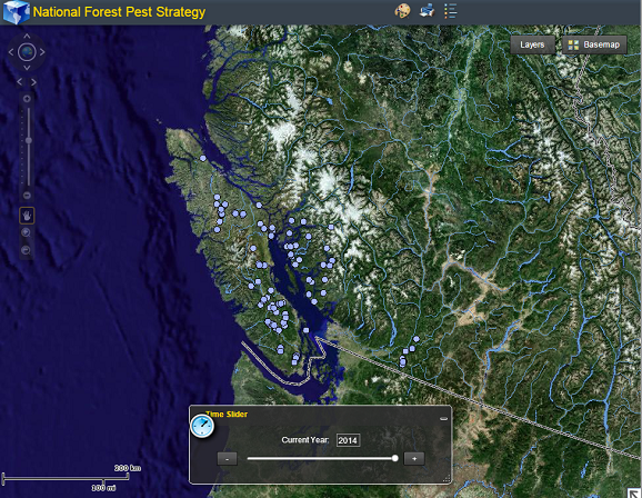 Screen capture of dynamic map for Armillaria ostoyae occurrence for 2014 (zoomed in to the southwest corner of British Columbia). The time slider can be adjusted to view results for different years.