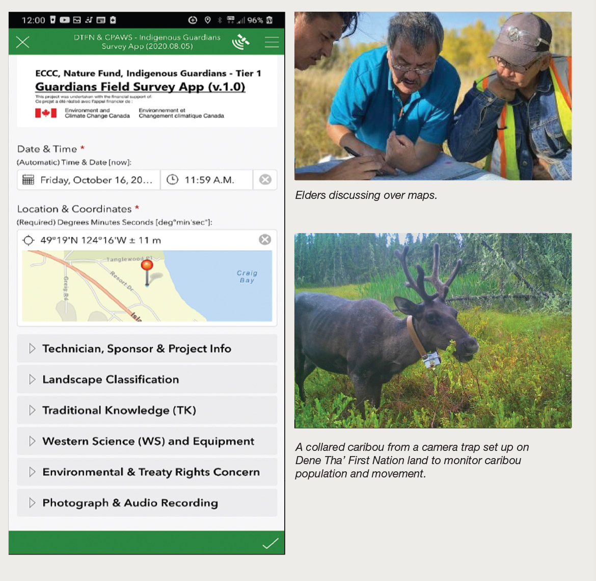 This image features two pictures, the first one showing three Indigenous elders discussing over maps in a natural environment, and the second one showing a collared caribou in a natural forested environment taken from a camera trap set up on Dene Tha’ First Nation land to monitor caribou population and movement. This image also features the interface of an application (the Guardians Field Survey App (v.1.0)). The interface shows different parts where users can input or visualize information (Technician, Sponsor and Project Info, Landscape Classification, Traditional Knowledge, Western Science and Equipment, Environmental and Treaty Rights Concern, and Photograph and Audio Recording). The interface also shows a map with specified location and coordinates.