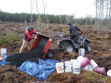 Transporting wood ash.