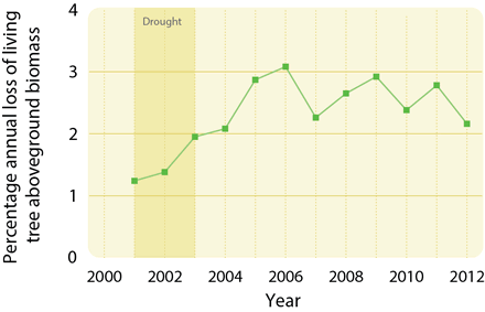Graph showing  trends in aspen mortality in western Canada for the period 2001–2012, following the severe 2001–2002 drought.