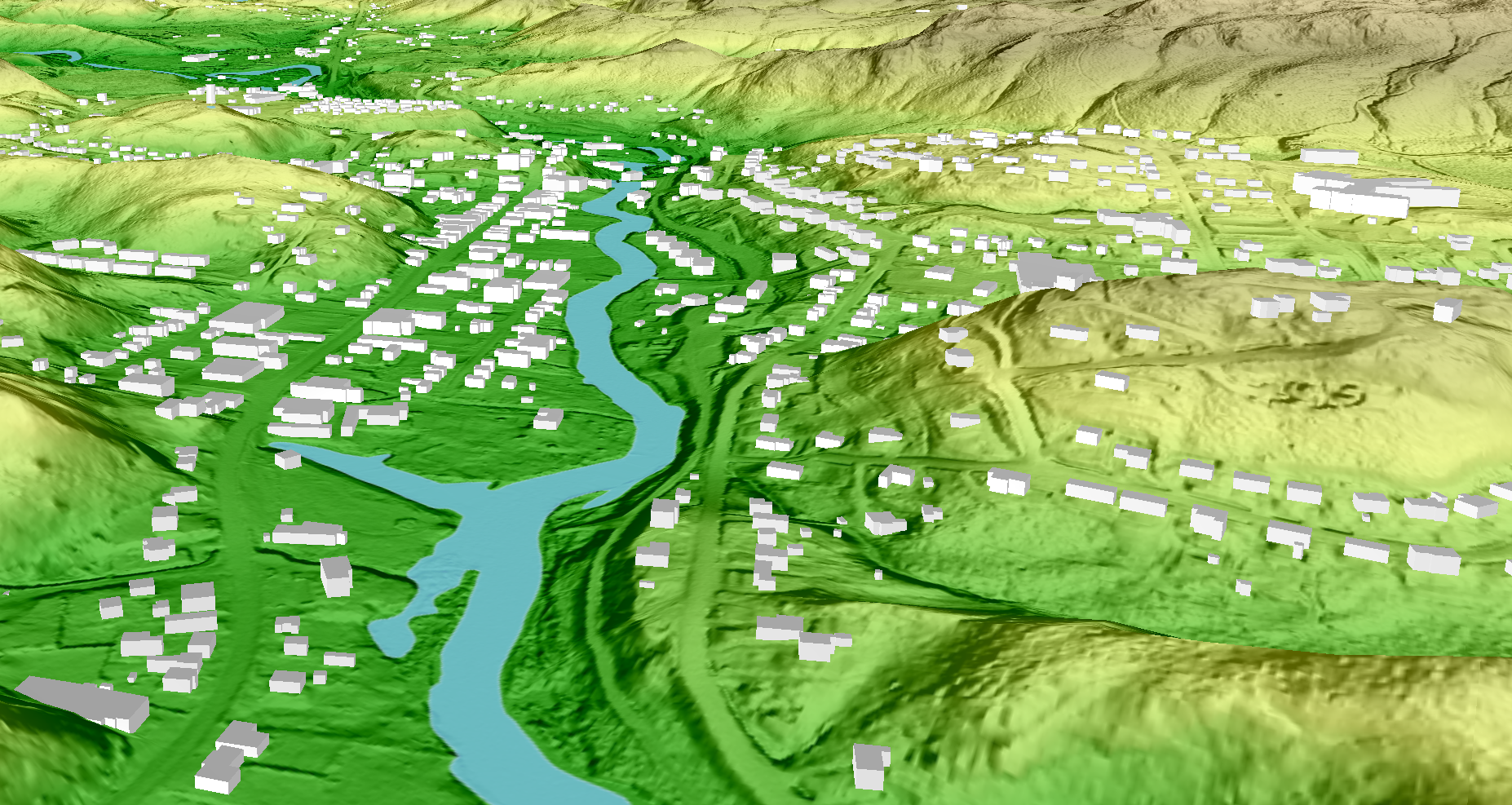3D representation of a territory with buildings, roads, a river among changing relief.