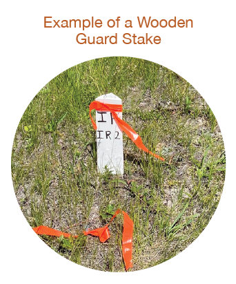 Wooden guard stake in the ground