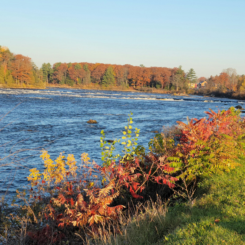 Ottawa River near Ottawa