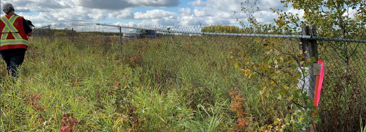 Person surveying existing fenced cemetery areas at Cold Lake Indian Reserve 149