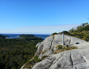 A view of a forest and a rocky hill