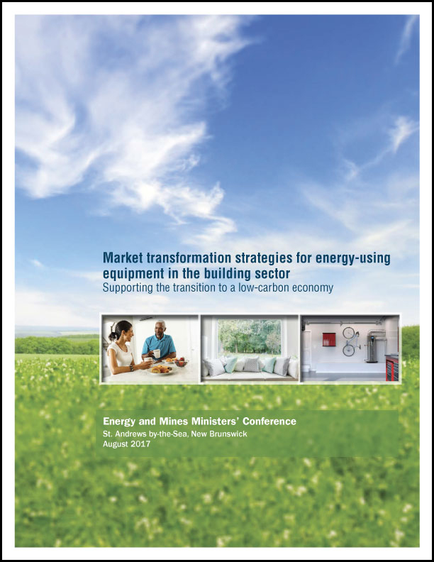 Market transformation strategies for energy-using equipment in the building sector: Supporting the transition to a low-carbon economy