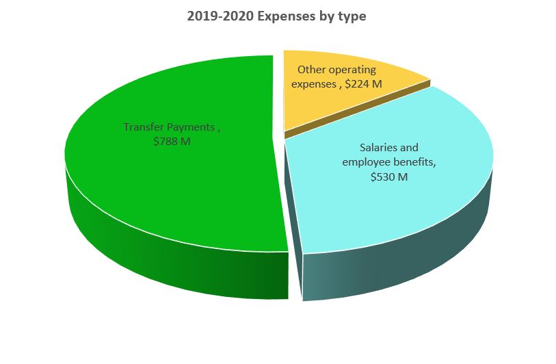 2019-20 Expenses by Type, described below.