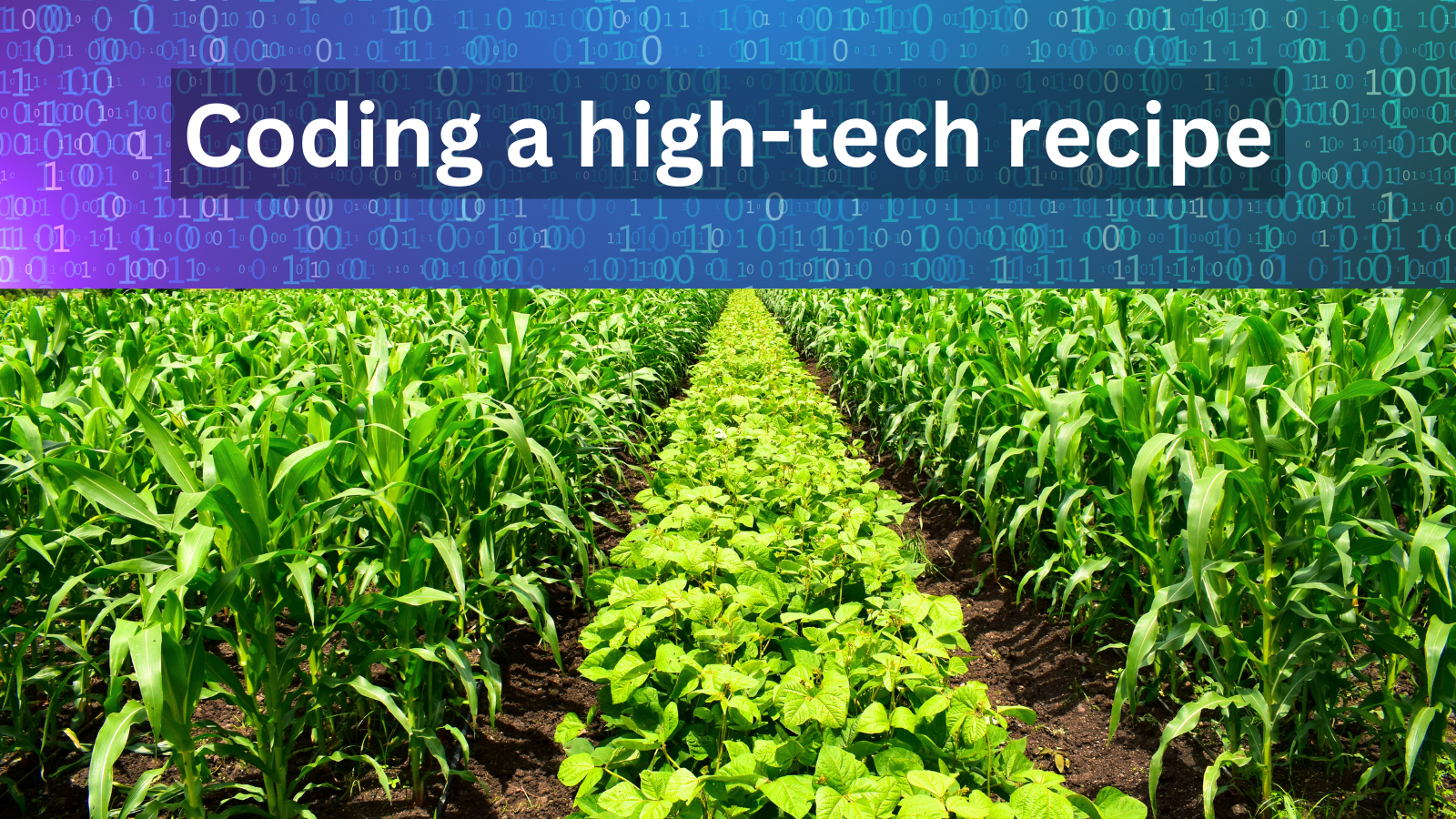 Field of salad greens and corn with onscreen text: Coding a high-tech recipe.