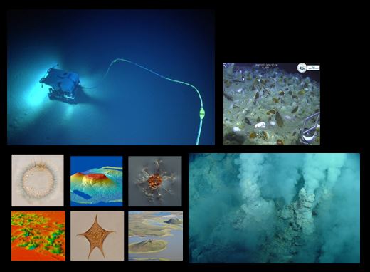 An autonomous underwater vehicle, a smoking sea vent, life on the ocean floor, dinoflagellates, bathymetric maps.