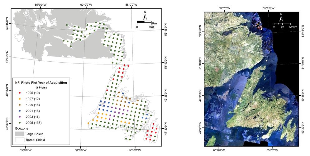 Two graphics. Left: a black and white line drawing map of Newfoundland and Labrador with photo plots indicated in coloured dots. Right: a true-colour composite image from Landsat data.