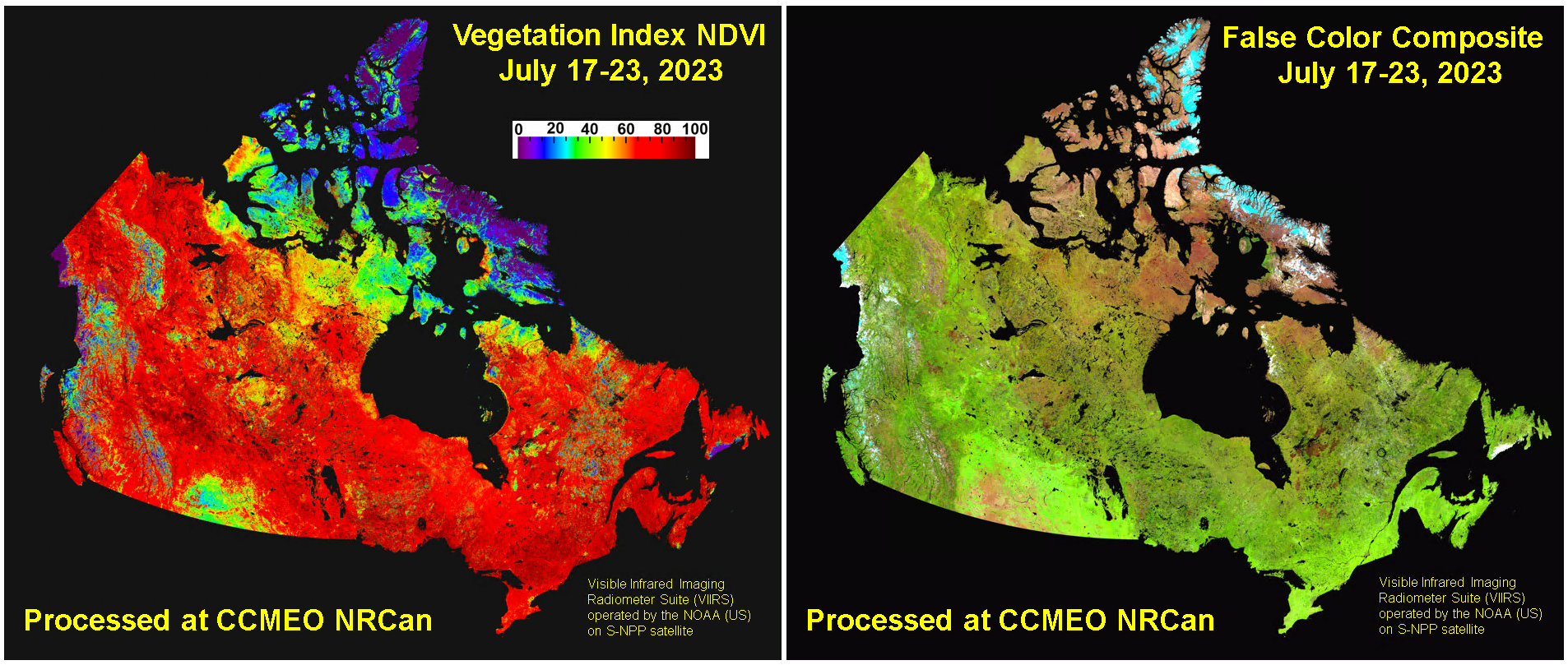 Vegetation Index maps