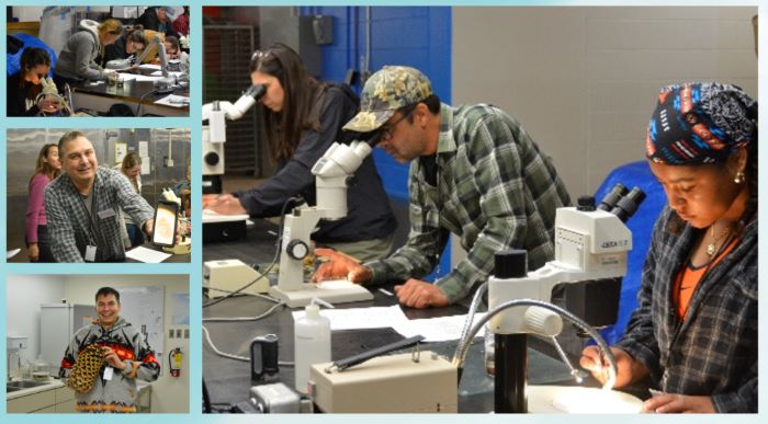 Groups of people working with microscopes in a lab-like setting.