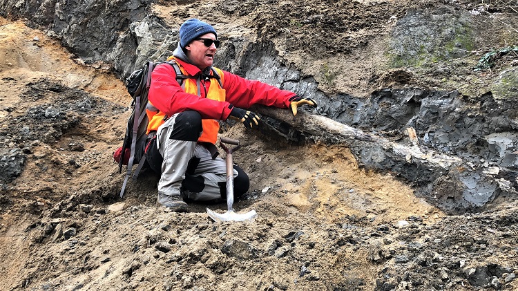 Tree trunks dating back to the 1663 earthquake are often found partially buried in the ravines bordering the Gouffre River in Charlevoix.