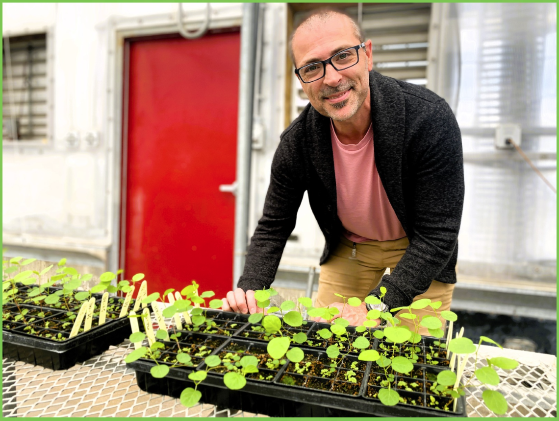 Man smiling at camera with tray of Furbish’s lousewort seedlings.