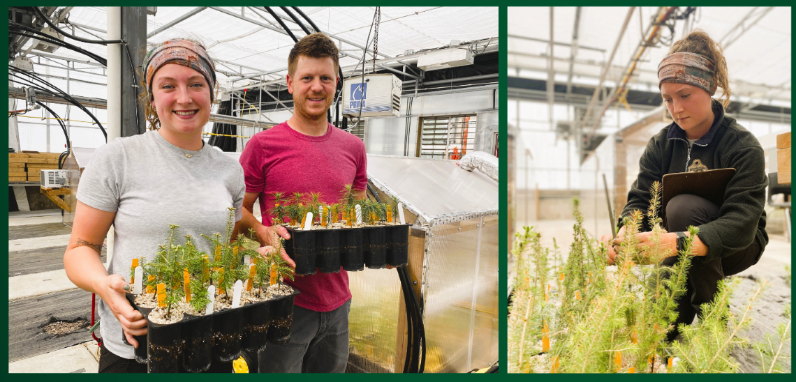 Rob and Mackenzie holding trays of small seedlings. Mackenzie kneeling down near a tray of seedlings recording her findings in a notebook.