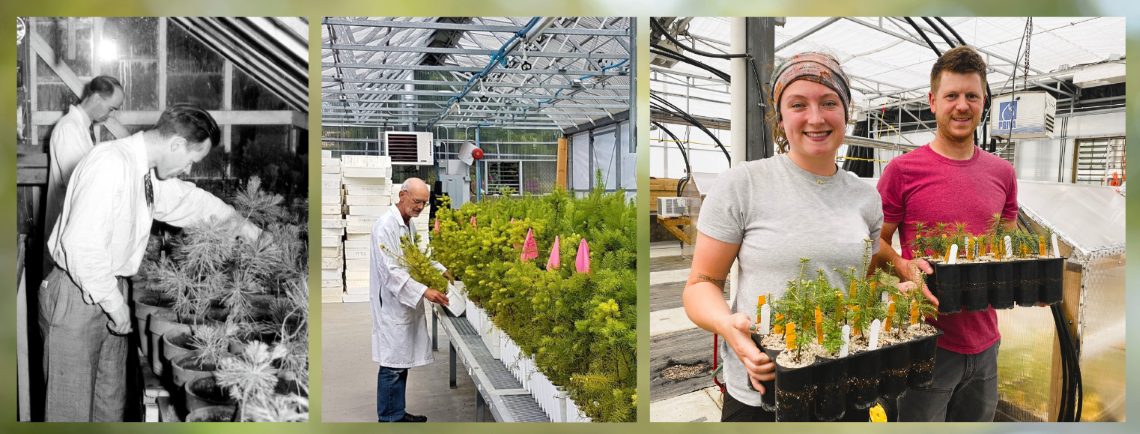 Several people in greenhouses over the years.