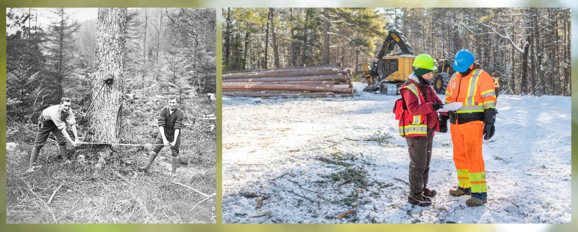 Two men in the 1920s sawing down a tree, two people wearing safety gear with heavy machinery in the background.