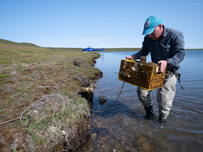 Three photos of scientist Scott Dallimore working in Canada’s Arctic.  